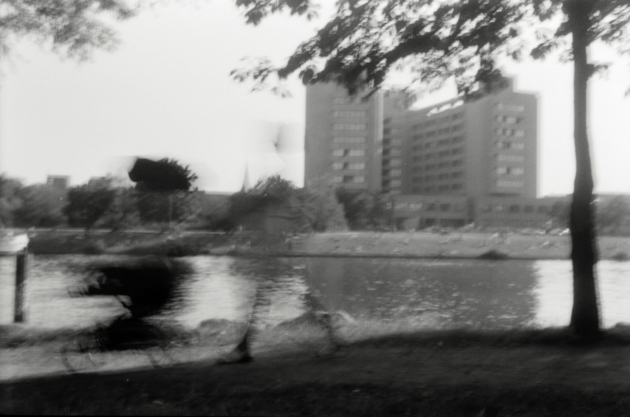 AHP F2001 07 002 sc240901 img34 NLP